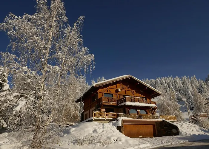 Les Saisies Cote Bisanne Appartement Dans Chalet Le Nepal